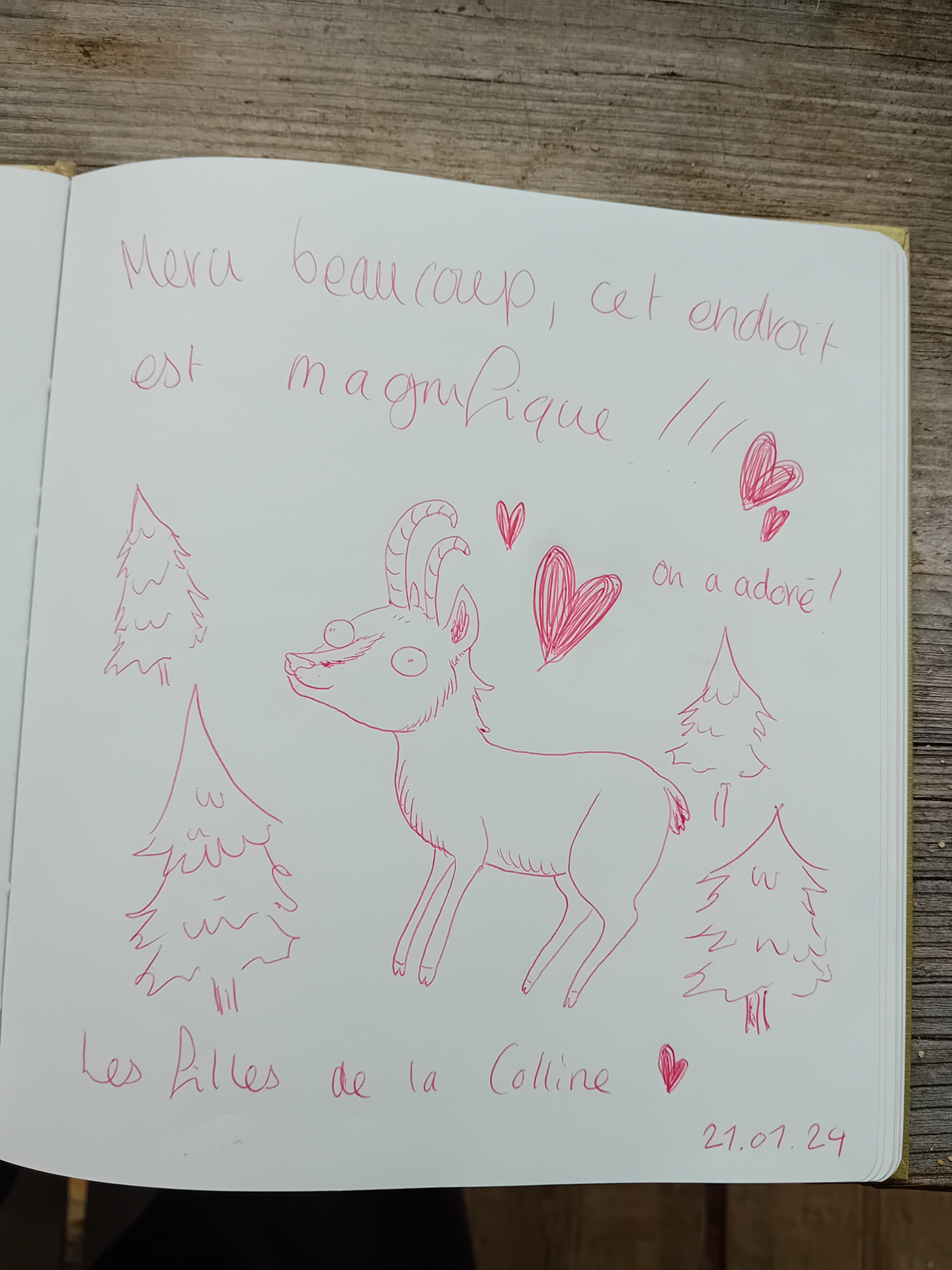 lagrangetteasimonlivredor-3